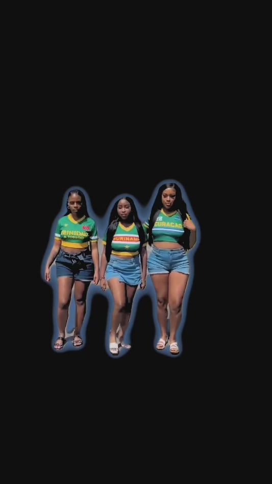 Curacao flag regular croptops